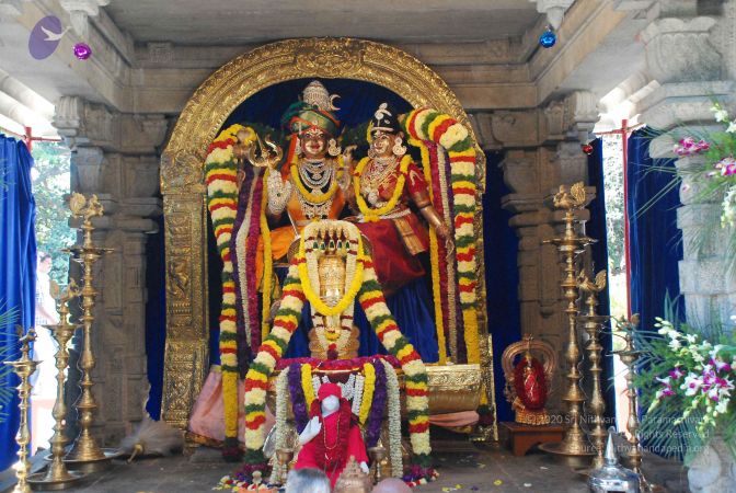 20081230 Photo 1061 1p8ZeZGrUbRQA7dfaZ4julXhv-OyWmhaT.JPG