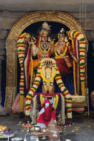 20081230 Photo 1072 1pdxm1G7-9r0SeHMpOlKKG3hYW1fU7UaZ.JPG