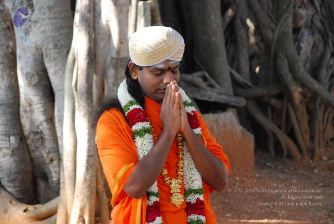 20081230 Photo 2088 1IBCBEE2T74RGn4050m0yYJk Mf4Kq4j3.JPG