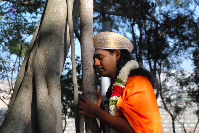 20081230 Photo 2096 1SXEcW1RqGleOZL55VrFAr7tYjdt 87c1.JPG