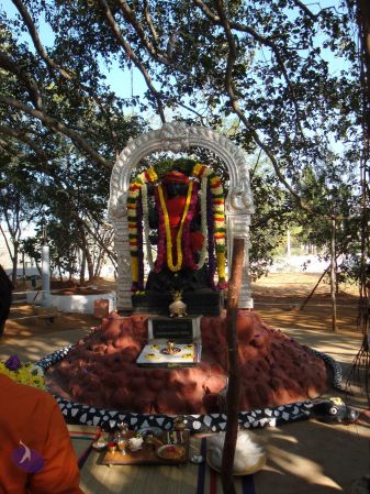 20081230 Photo 2423 1HTbgGixynxxzLI6TaAf7 xKC2XH8byXn.JPG