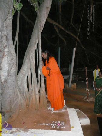 20081230 Photo 2905 1vRFZQCDvuPBxlmIZULCyoUS41FcnLSqd.JPG