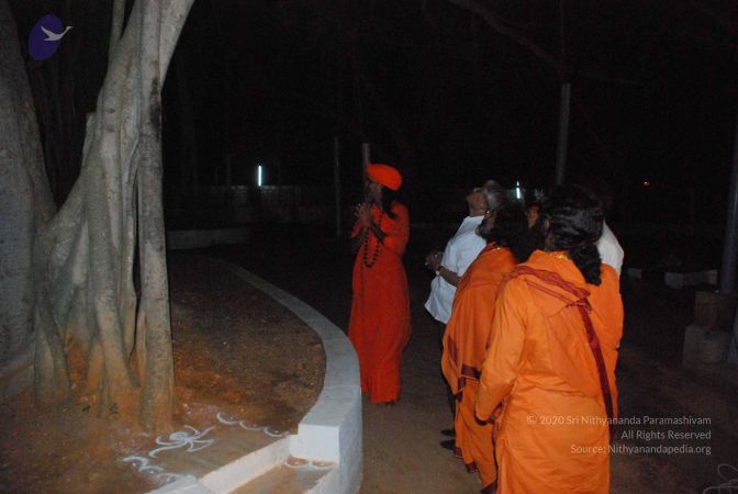 20081230 Photo 3255 1yXQJkwmLblAuBscoIi29FyVkMq WLM9S.JPG