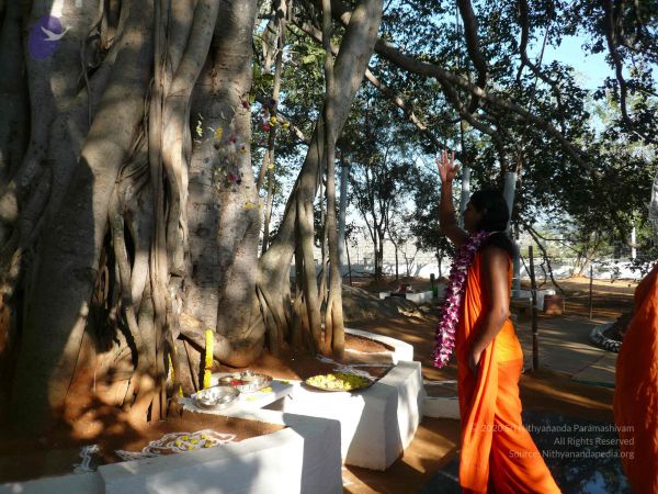 20081231 Photo 1264 1l5069Xab6IB9SrMnI0tJbo-4qPv8KlnN.JPG