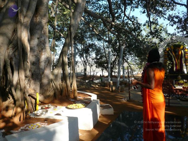 20081231 Photo 1265 1DN9gSqXIDZqiivvd0c9kSJGNJUbVvex7.JPG