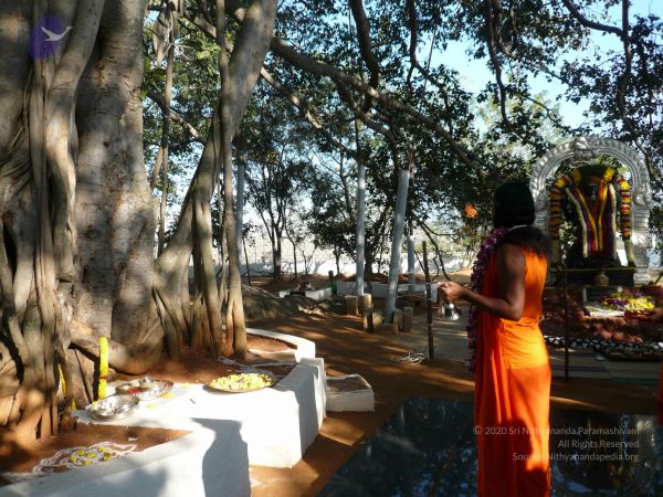 20081231 Photo 1268 1xi0DxzHj1B4fY5xdSexLIbRAfi9SoIlf.JPG