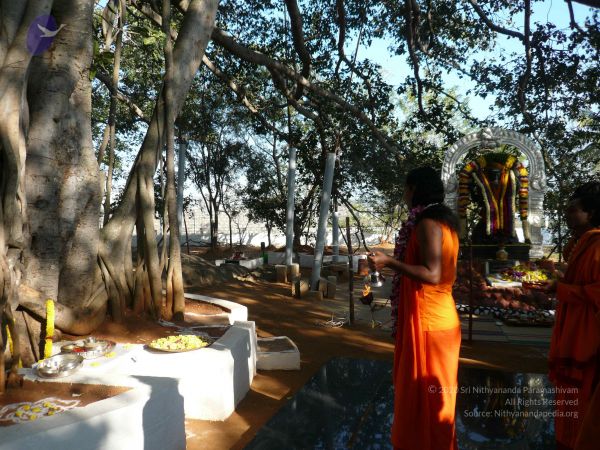 20081231 Photo 1269 1YdoY9XvW2L 1WVXg1AIuq0qzq6vD-g t.JPG