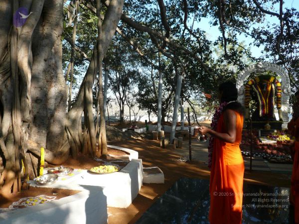 20081231 Photo 1270 1dc2Mv59L0XJhZ2Aj63dMedQSHokbNXV6.JPG