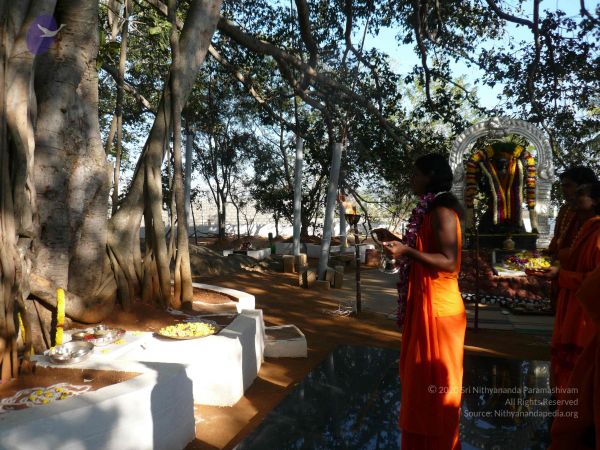 20081231 Photo 1271 18NN7 0P9m4zAAcID07lnYrPrMLZN2xy3.JPG