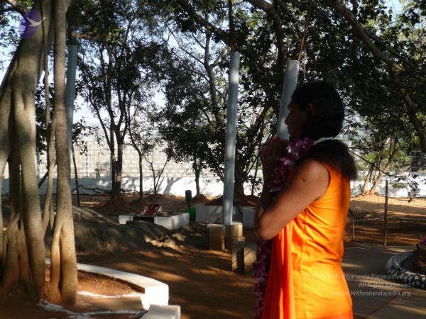 20081231 Photo 1272 1GX1lOJkOym-gqJbXkctnm72gi5lV-wJ1.JPG