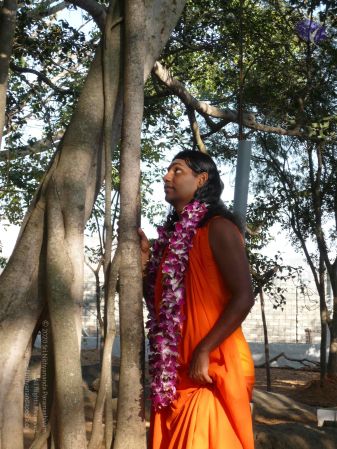 20081231 Photo 1277 1WusFIBIJkfkdXpGmoYmnByz9rD42jE L.JPG