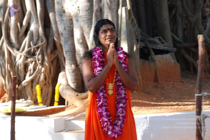 20081231 Photo 1417 1D jv7Dw7ifjVCeW3PpjTMgBAffa--cU5.JPG