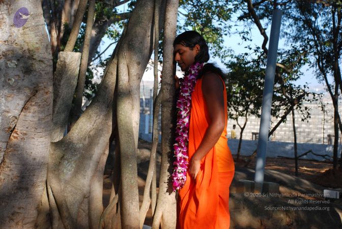 20081231 Photo 1419 1pLUblFwkqzFoVvh925Gd256V4SVMIV z.JPG