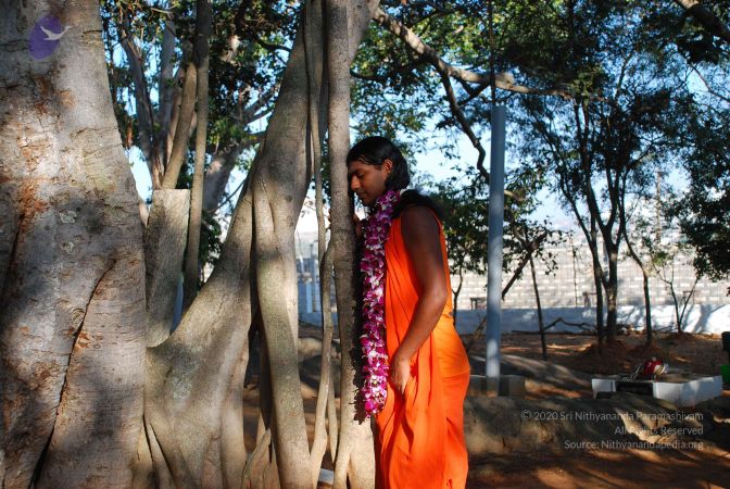 20081231 Photo 1422 1TmVYtJo6vB5LsrN1JgyZ14GLIPVmTdlx.JPG