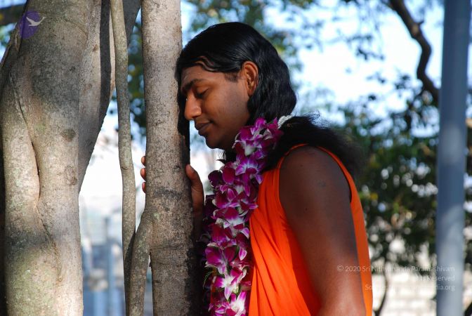 20081231 Photo 1426 1cW6eKT4OpNMmCVOK9nVr3Wx2i3VQWRvE.JPG