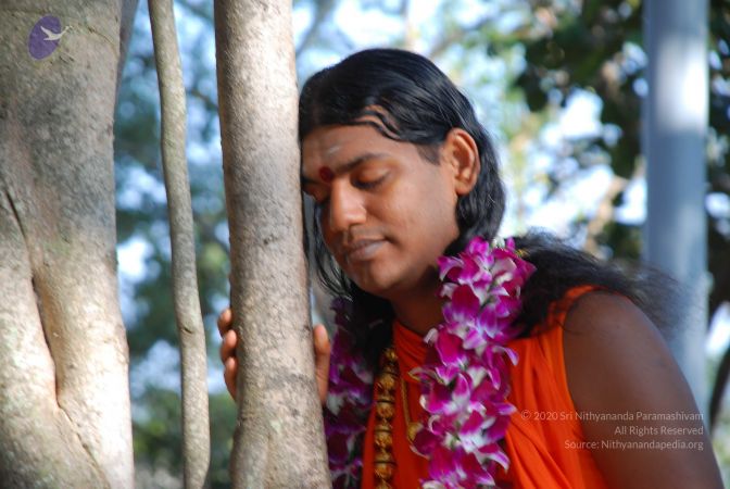 20081231 Photo 1440 1nLm2-3c2uVSTGUKGp4 X2yiIMrswanAW.JPG