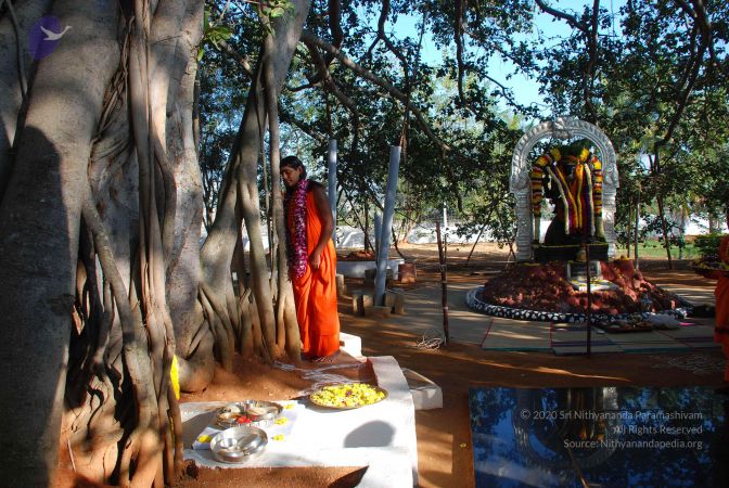 20081231 Photo 1443 1Bs4JZMDAAATn5miY3wazdoNOqfPyUlag.JPG