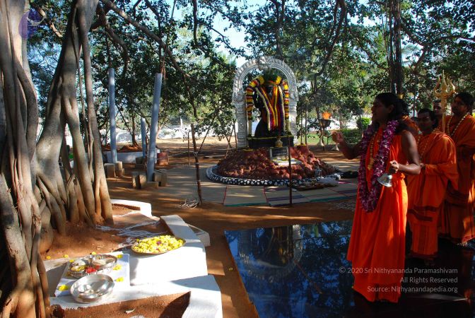 20081231 Photo 1447 1yoRbvw2Vpy6lN8yugE6Cfp4F9gxGEqIs.JPG