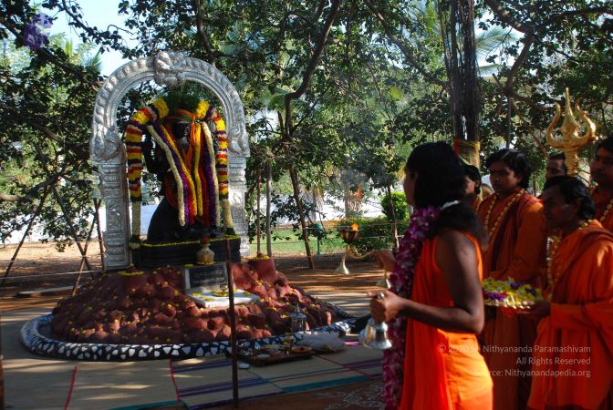 20081231 Photo 1448 1Adh-NQNYptG4lZZzwWnFNMP-GE03vmNY.JPG