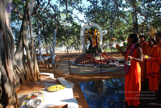 20081231 Photo 1449 1yNm1NenzFK3X0B-3XzVsjmrNzqEl4E2U.JPG