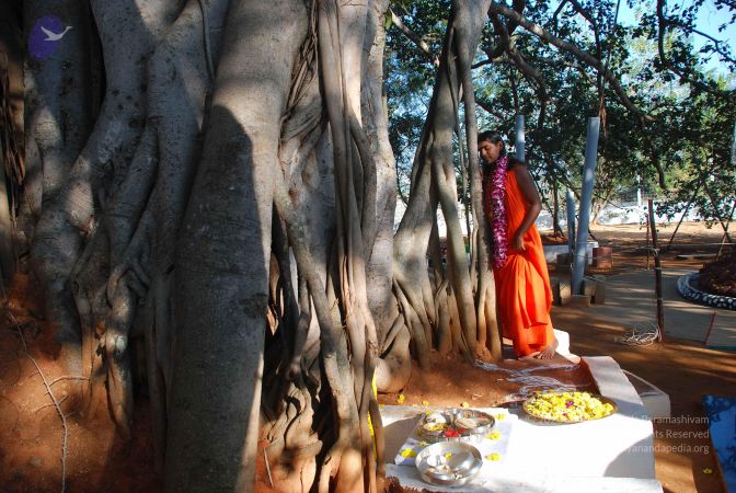 20081231 Photo 1453 1G6fkHooJtZc550W9NIPp5OUncXLsM3bC.JPG