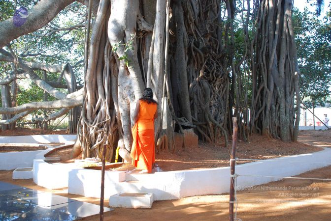 20081231 Photo 1459 1kg9x3hKZPnHVSbuzqXBpgvVEkXGFusj .JPG