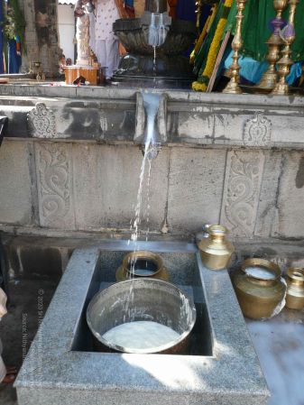 20081231 Photo 1724 1YlKzh5U6 yzuPfUCQVRfjGAHrwxUGVmx.JPG