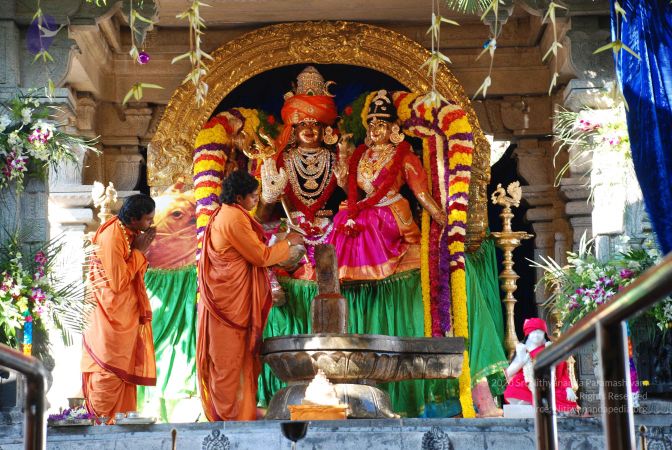 20081231 Photo 1733 1LQCdauR1RHa78Cff95vocnyhEhmdlJ8A.JPG