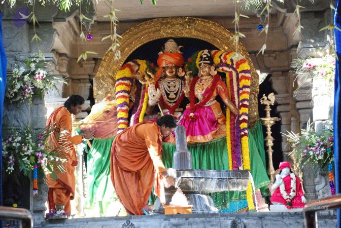 20081231 Photo 1745 1b-2e2OE--3fhEdYp7E7IoFuzXp3QzI0p.JPG