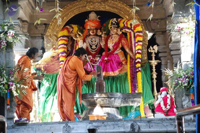 20081231 Photo 1750 1euu9kAXr995tUhBL3JSpG1jtWRVKe-n .JPG