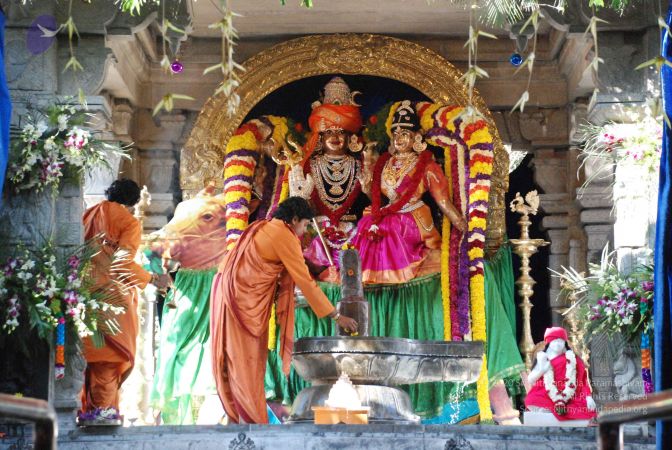 20081231 Photo 1751 1uV8qLrIajL3TN4ENrA51opQBW0fs4Rxv.JPG