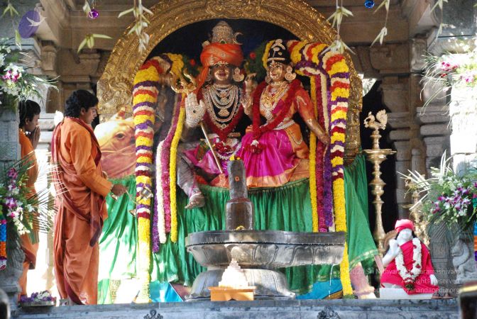 20081231 Photo 1765 1lNM-GvFVOO -dKKVlKzPTbt6Y0w99Jeh.JPG