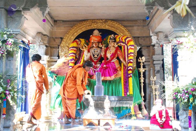 20081231 Photo 1798 1Gthe7p8PGPgh-kiEz1zFVLYpySQhHUyG.JPG