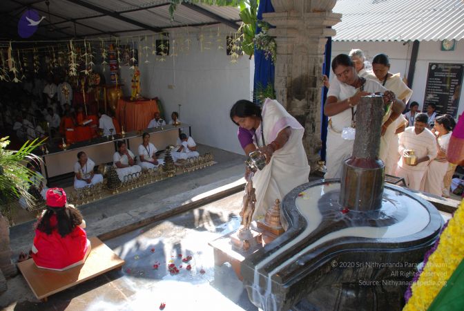 20081231 Photo 1870 1slxFr8JpmBcQjCj7aGj79og1y2KCeJOJ.JPG