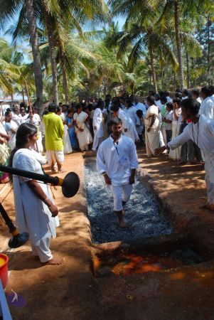 20081231 Photo 2092 1-iwahlxLO-g5OIsKnSwdPOZyTCi8do-4.JPG