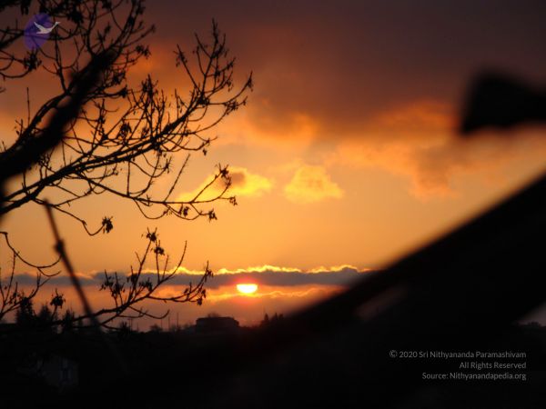 20081231 Photo 2384 1mhEyOAPZHes pr-z 62OGu1dxWX udCT.JPG