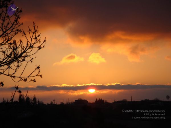 20081231 Photo 2386 1JqKe8yFa3gA-Ygo6IBg29Pu7vUKKruul.JPG