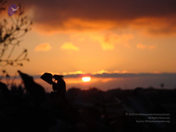 20081231 Photo 2387 1GZ5VYPemFic8PGUZAa-jEsK7PsgEKF1U.JPG