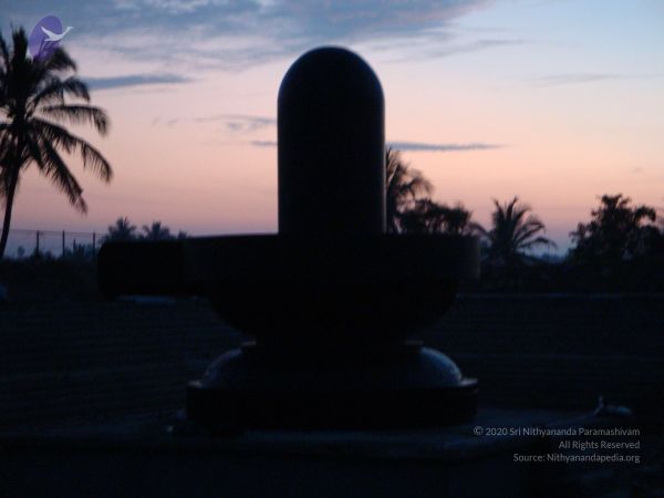 20081231 Photo 2400 1Sk7EJM6IzpUBoxV1Y9yE991NtZln9Rwt.JPG