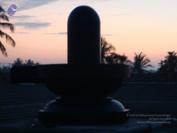 20081231 Photo 2405 1so0DKfIcB4 gzq3tLNgVBte0dsynED1 .JPG