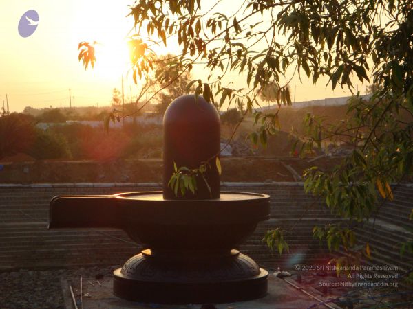 20081231 Photo 2420 15fgIDgfYKpm wLPMFT-5qZB2AmeDTjoS.JPG