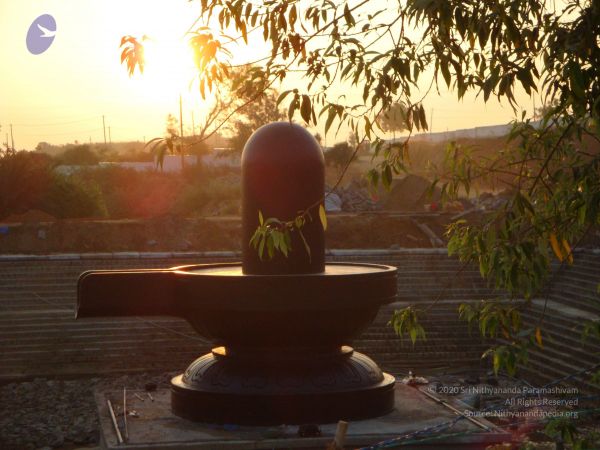 20081231 Photo 2421 1vu-Ox9KVXMl9ihKNYWconQOGTwvfoJG5.JPG