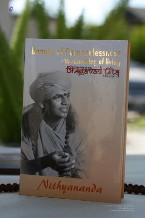 2008 Galleria 105.jpg