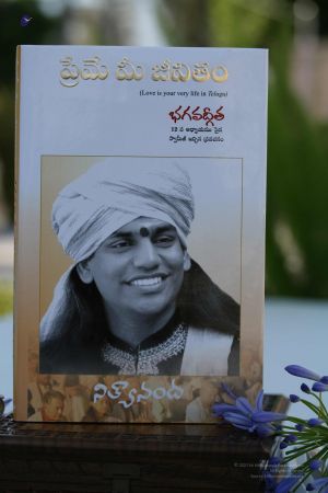 2008 Galleria 149.jpg