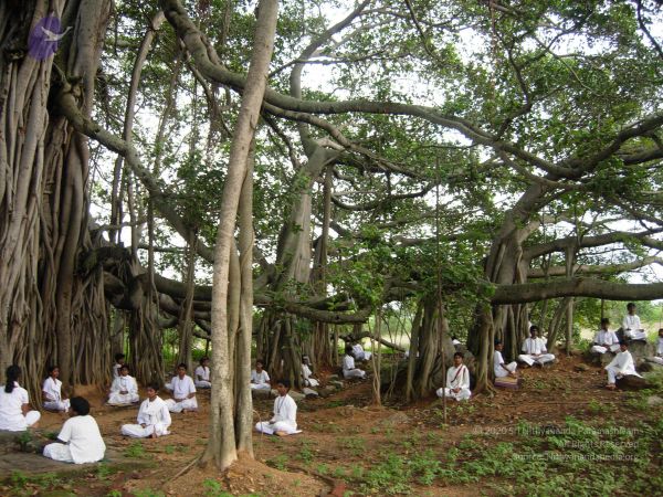 2008 Gurukul Photo 219 10Mr0RnrGkfRcoNfD32NB1rVidNeQzBYq.jpg