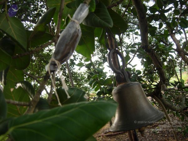 2008 Gurukul Photo 275 1V0PTM2mMWtX ZOyp28Qm4KoM5rIt-uks.jpg