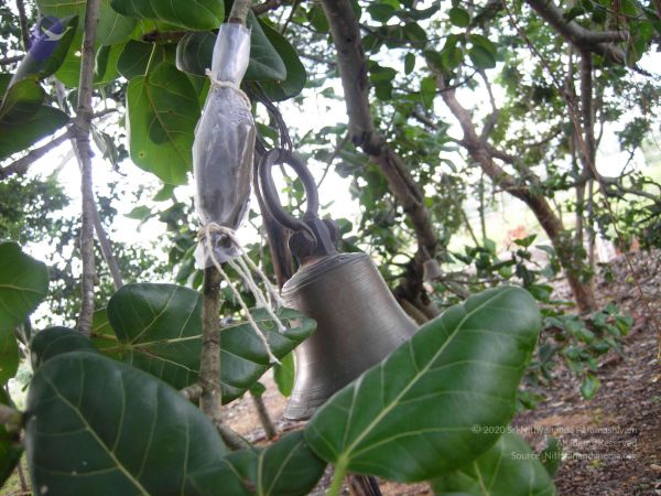 2008 Gurukul Photo 276 1W2OVkSIEI4xbuChO9qFNXy2SXcQ4MJvL.jpg