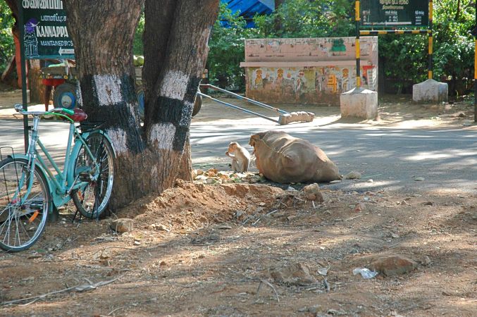 2008 Making Of ARSJP 9431.jpg