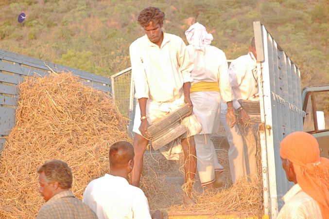 2008 Making Of ARSJP 9856.jpg