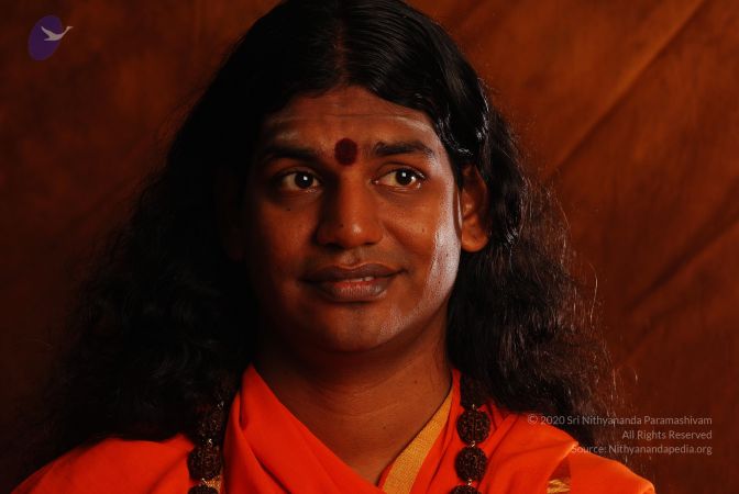 2008 SY14183 CMP WM.jpg